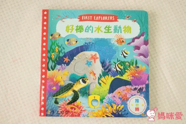 平台最優惠★英國 Campbell Busy 好棒系列操作書 中文版♫眾多媽咪好評推薦！