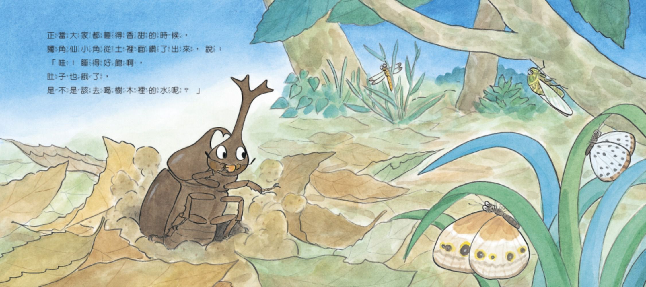 【認識蟲蟲世界】-獨角仙大力士