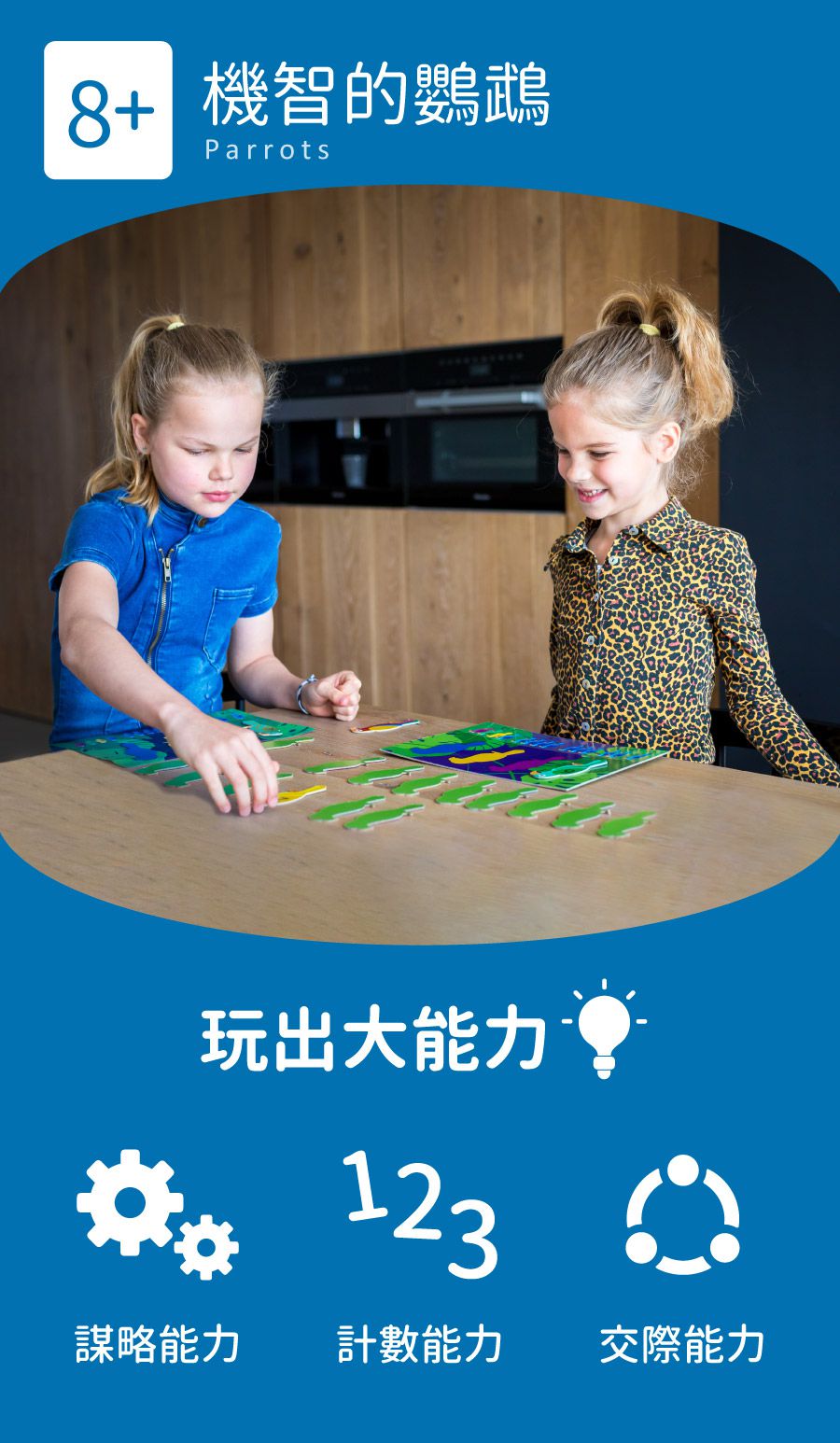 荷蘭BS - 機智的鸚鵡-8歲以上