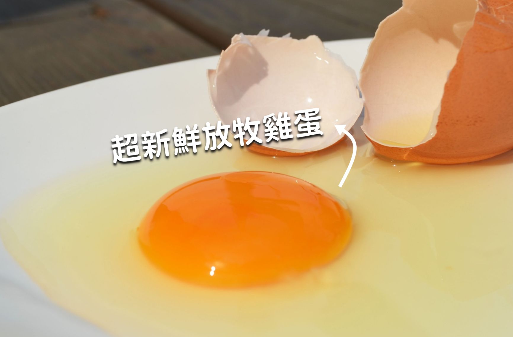 千層酥脆口感【唯渡烘焙】手工月亮蛋捲