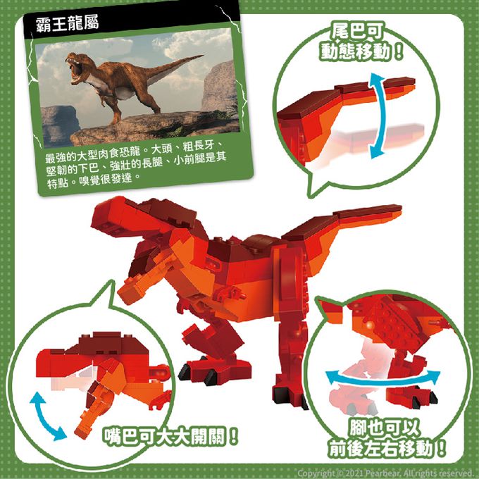 日本 Silverback - 可動擬真積木-霸王龍