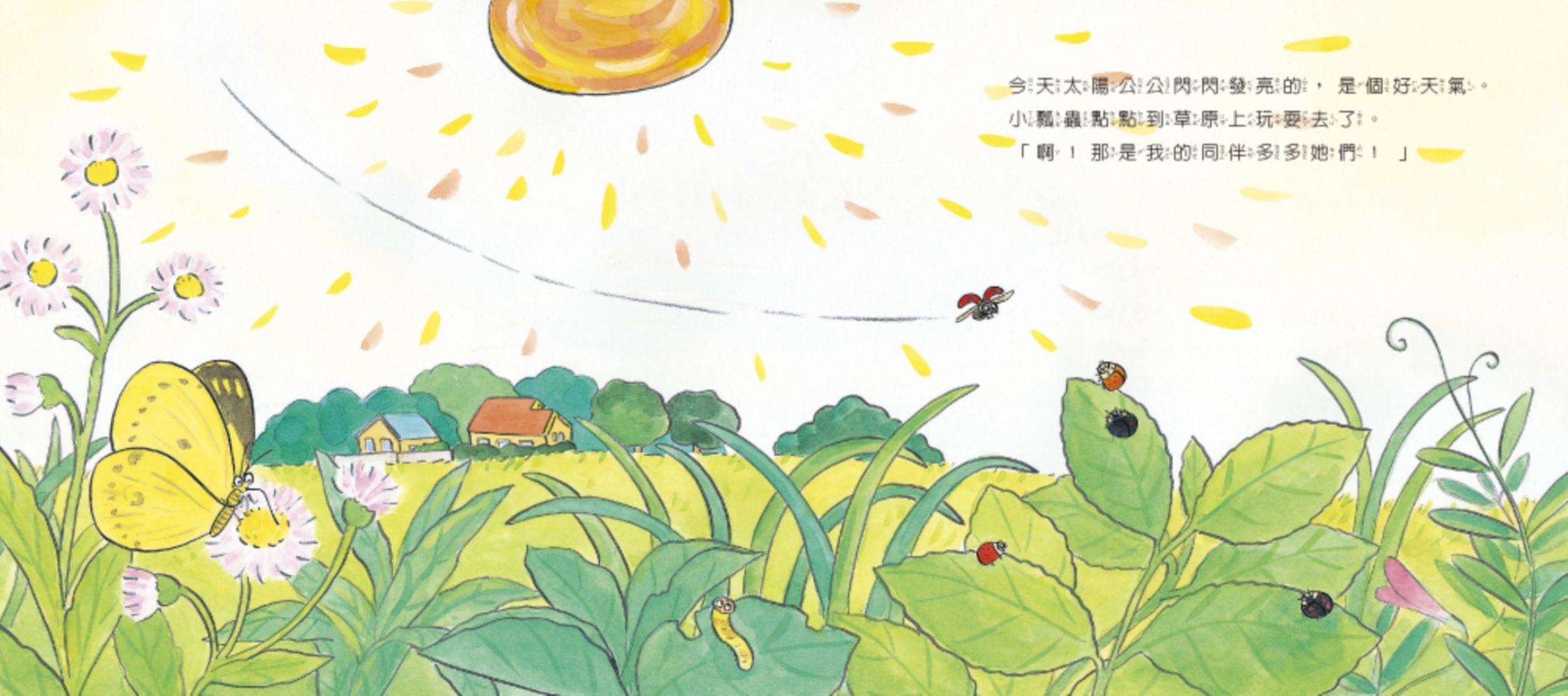 【認識蟲蟲世界】-小瓢蟲來玩耍