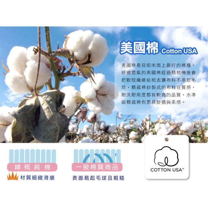 鴻宇 HongYew - 防螨抗菌100%美國棉鋪棉兩用兒童睡袋-交通樂園-1778