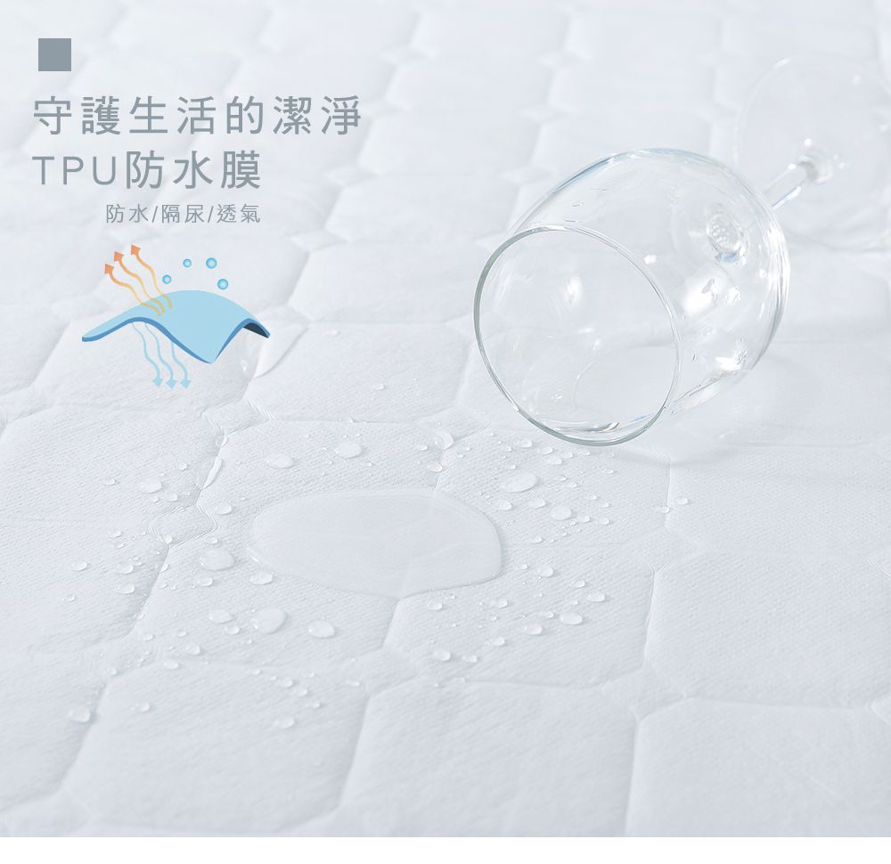 MIGRATORY 媚格德莉 - 100%高效防水透氣保潔枕套-2入-白色 (50x75cm)