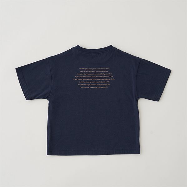 日本 b-ROOM - 100％棉 恐龍印花短袖上衣-翼手龍-深藍