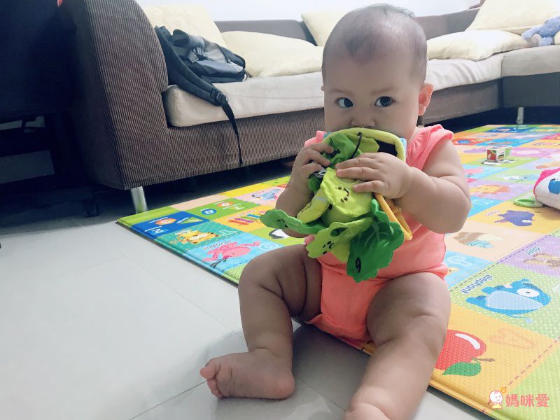 EYEUP - 番茄農場