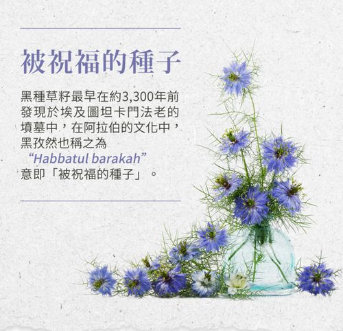 Sanct Bernhard 德國百年草本-黑孜然黑種草油膠囊500mg(400粒/罐)