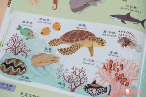 世一文化中英點讀繪本 / 有聲學習書 ★ 網路獨家最低價 59 折！