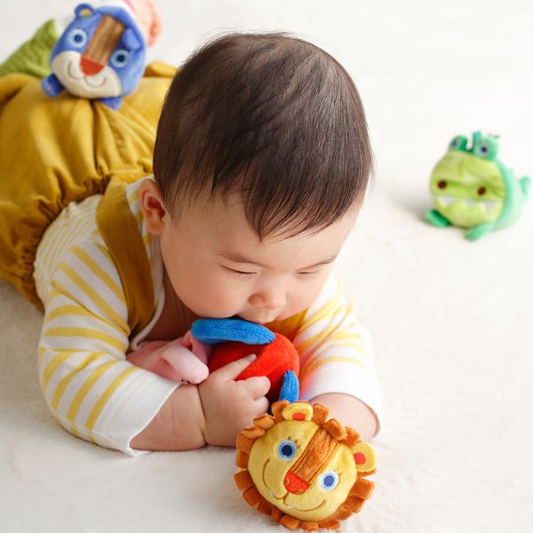 akachan honpo - Solby可愛動物布偶組