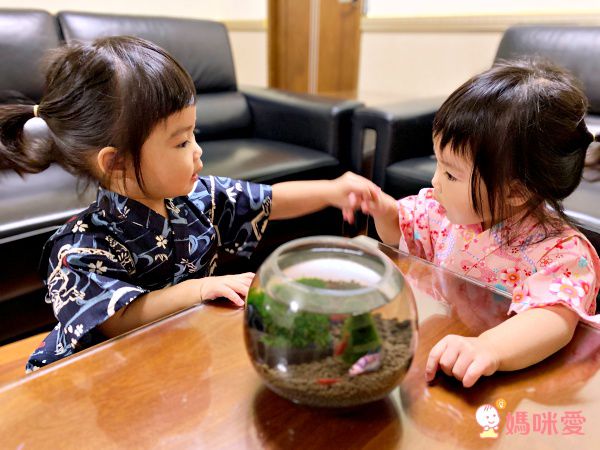 日本阿卡將本舖♛夏日祭典甚平浴衣，熱銷定番優惠中！