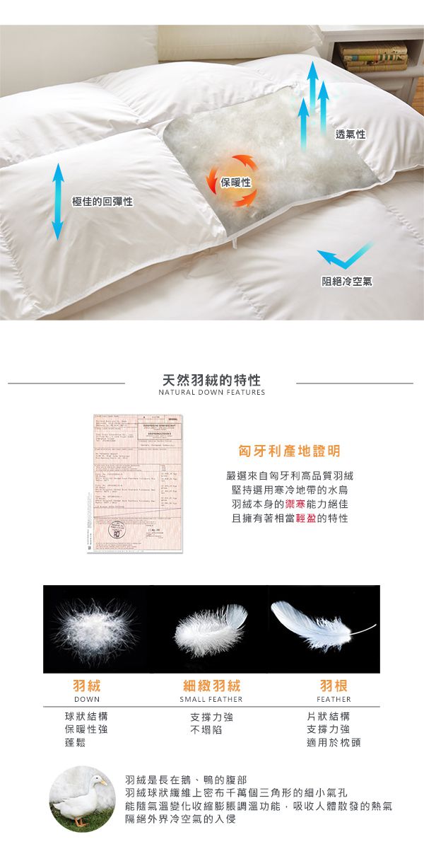 格蕾寢飾 Great Living - 義大利La Belle《匈牙利立體車邊水鳥羽毛絨暖冬被》 (特大)