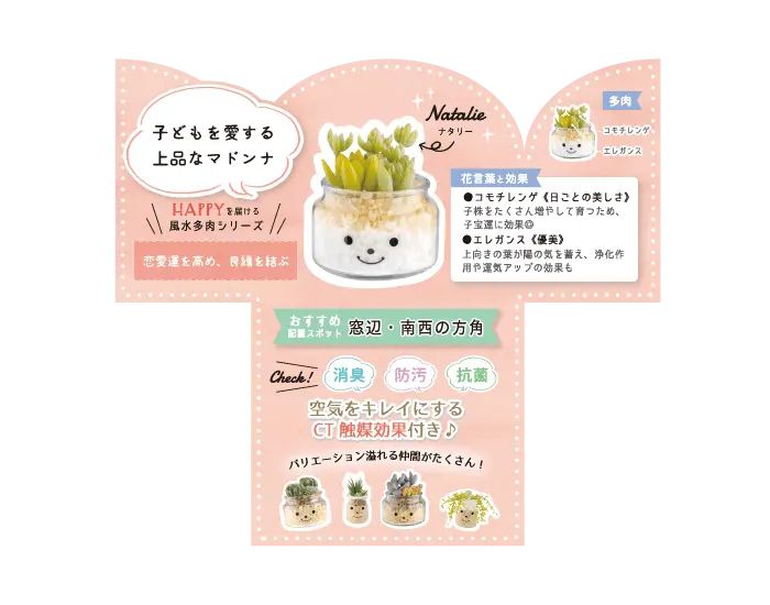 日本 KISHIMA - CT觸媒 開運消臭仿真多肉盆栽-貴人運-Natalie (L(φ10x11.5cm))