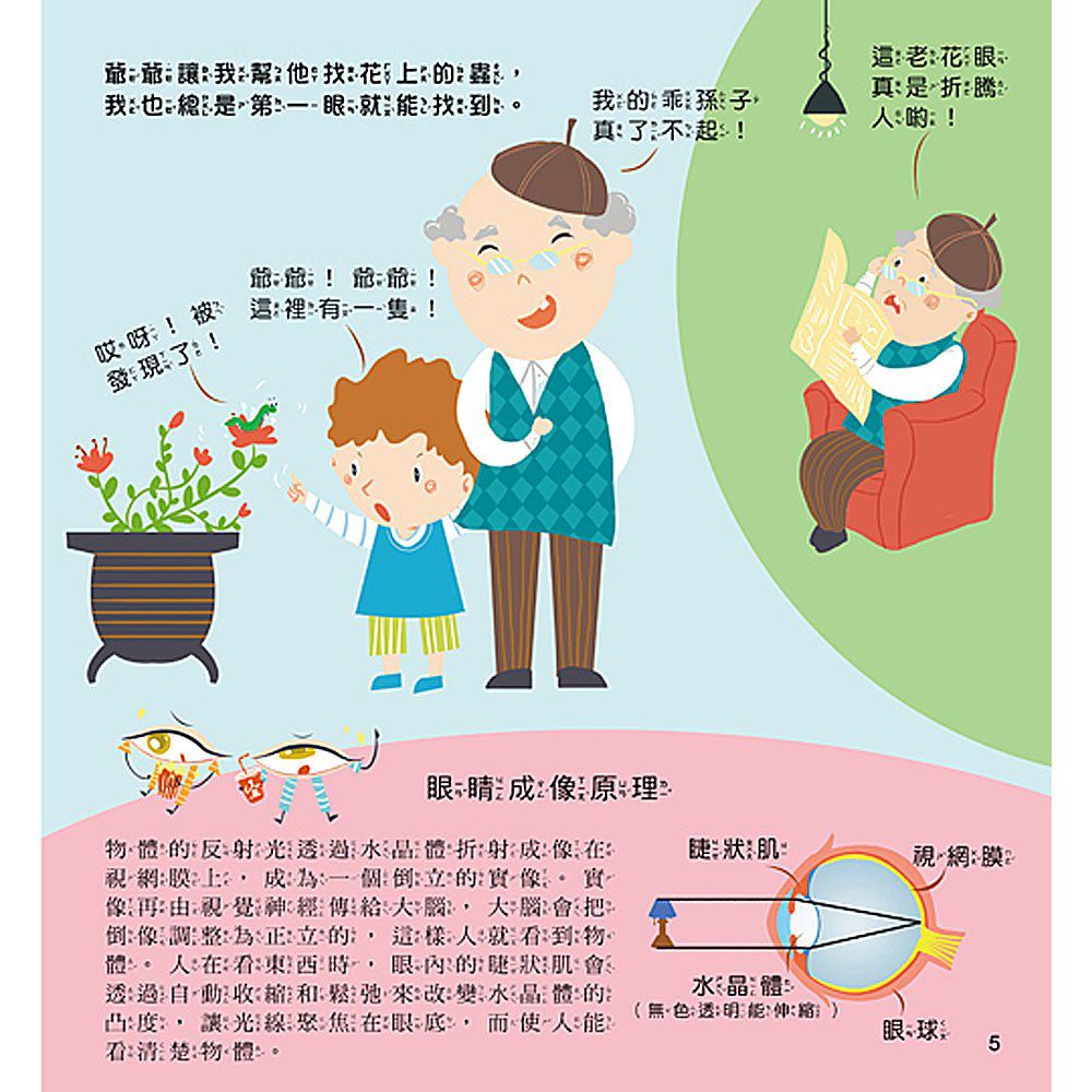 幼福文化 - 4本合購-我不挑食身體棒+我的眼睛最明亮+我的身體真有趣+我要學會說「不」