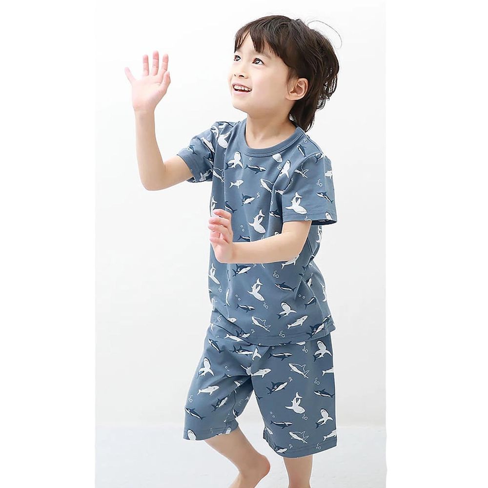 日本 devirock - 純棉舒適短袖家居服/睡衣-鯊魚-藍灰