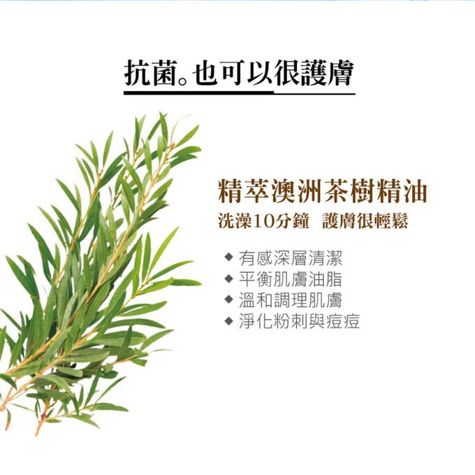 美琪生技 - 【1罐1補組】美琪抗菌沐浴乳 (白麝香)