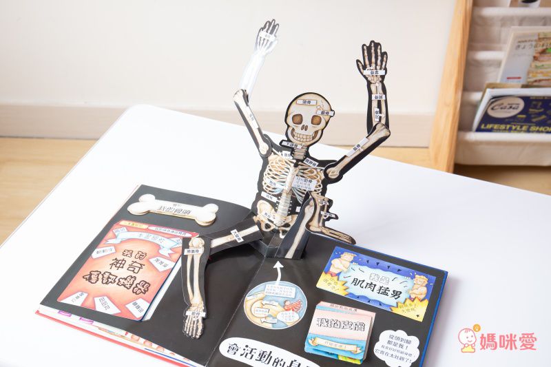 身體原來是這樣