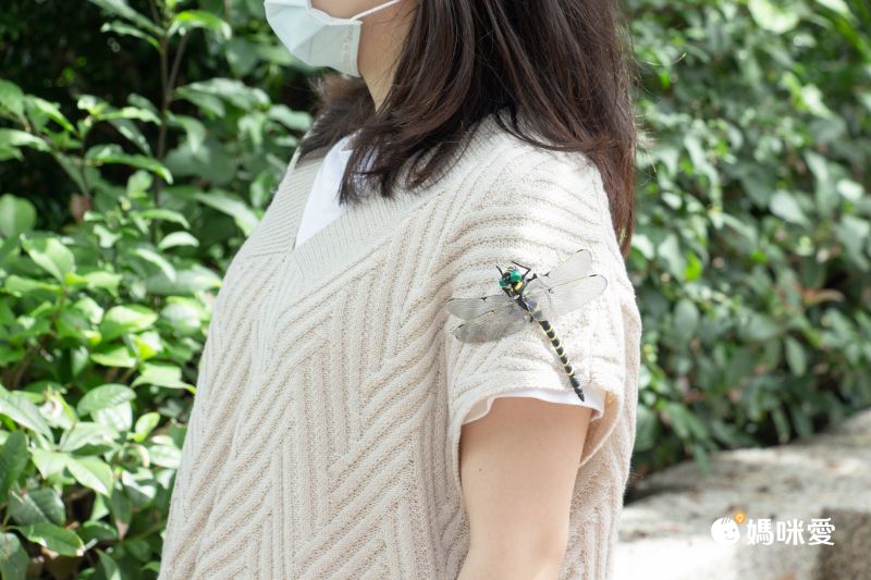 日本代購 - 超仿真蜻蜓君別針/吊飾-無霸勾蜓-黑x黃 (12x10.5cm)