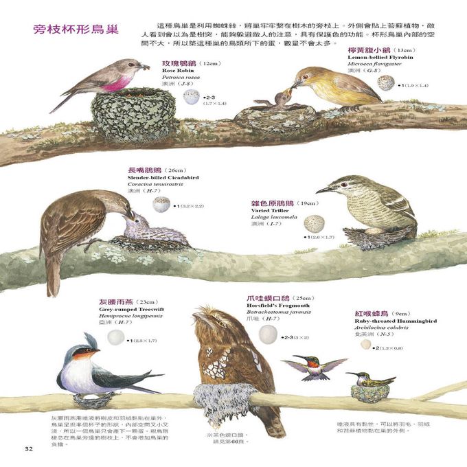 鳥類如何做各種巢