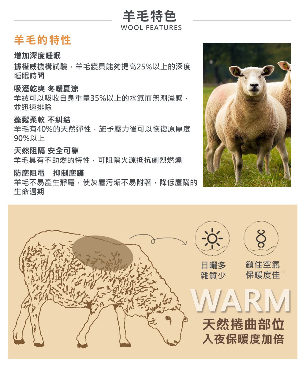 格蕾寢飾 Great Living - 義大利La Belle《100%紐西蘭羊毛緹花暖冬被》 (雙人)