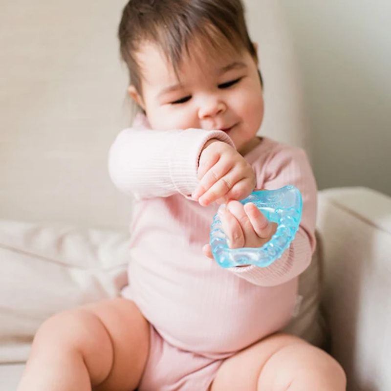 美國 green sprouts - 小綠芽冰鎮冷凍型按摩/舒緩疼痛固齒器_動物造型2入組-草原寶貝