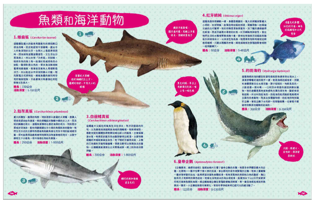 世界上有哪些魚？：魚類、海洋動物與牠們生活的大海 (精裝 / 164頁 /全彩印刷)