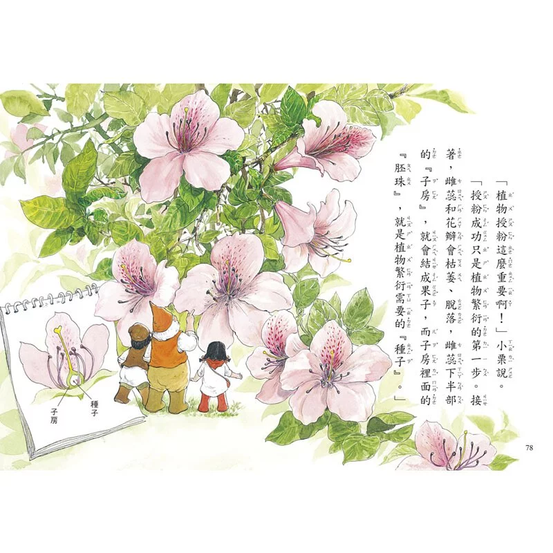 【好好讀小學堂】 早安森林套書3本（限量贈－自然觀察筆記本）
