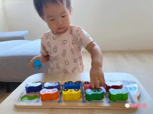 益智學習【英國 Le Toy Van、澳洲 Kiddie Connect】啟蒙教具