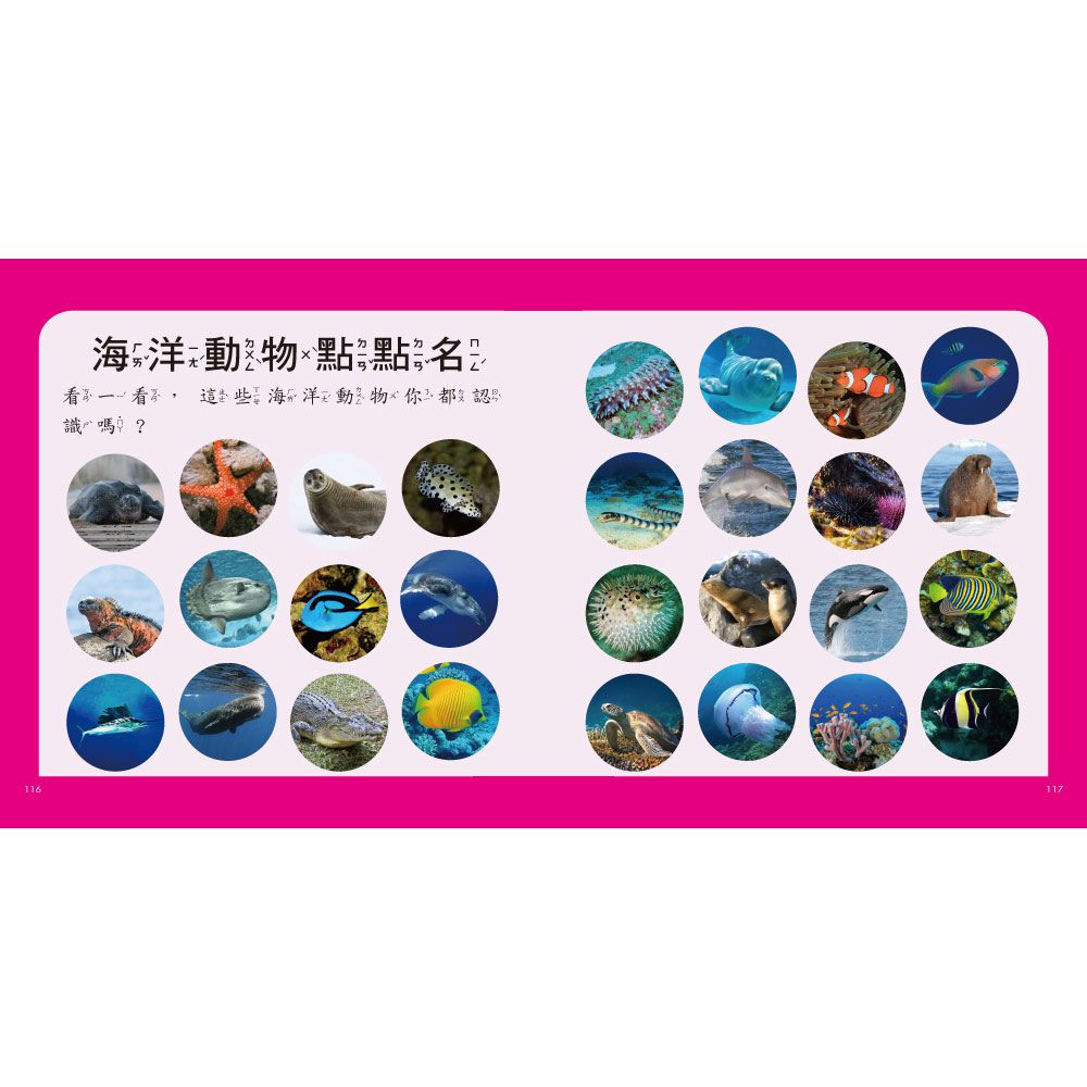 海洋圖鑑小百科