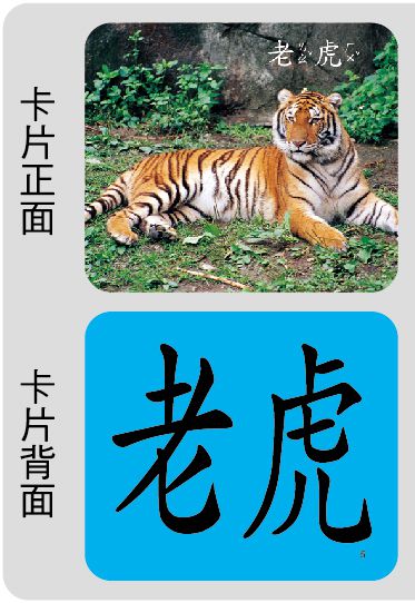 創意手提識字卡：動物(98新版)