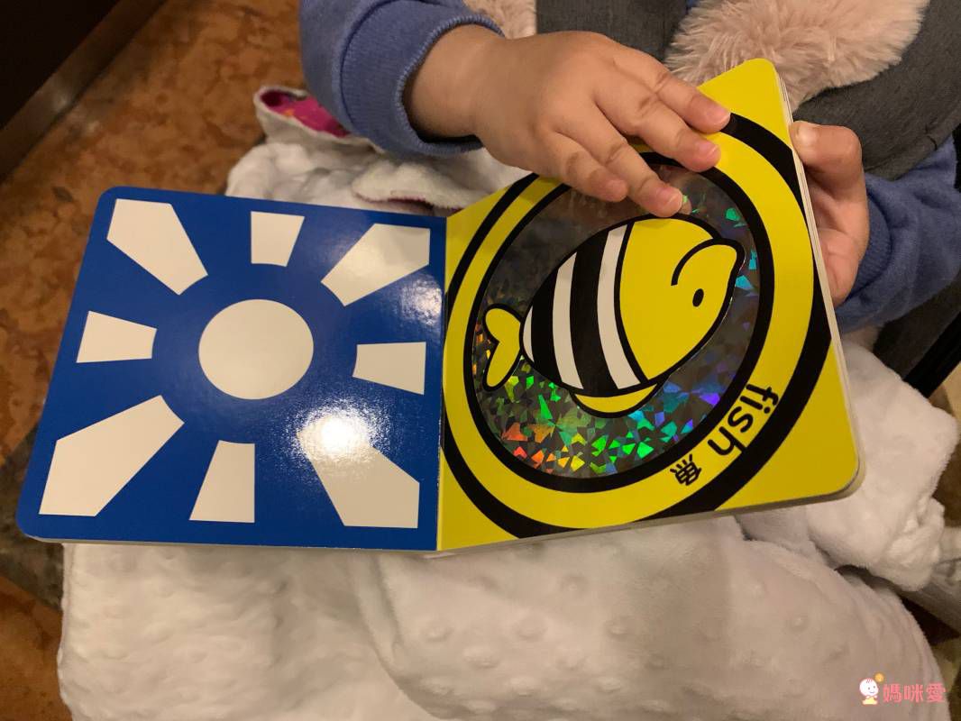 小瓢蟲中英雙語系列 ★啟蒙認知五書組★ 0歲開始看，依寶寶視覺發展階段設計！