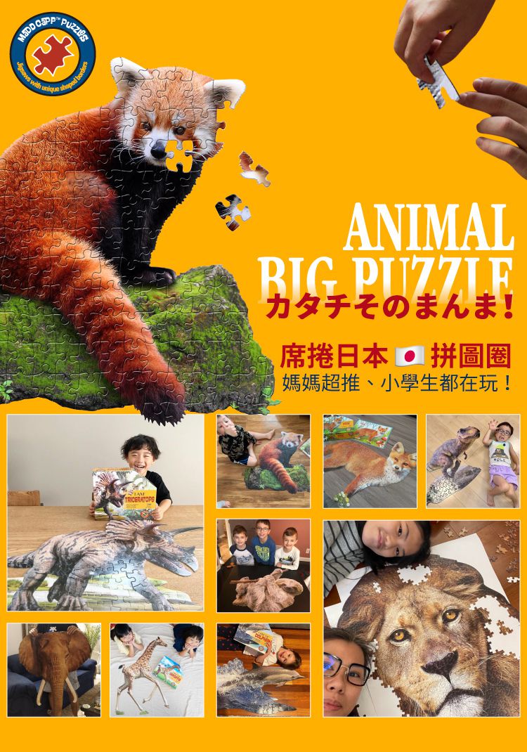 Madd Capp - I AM 動物拼圖-100,我是小熊貓