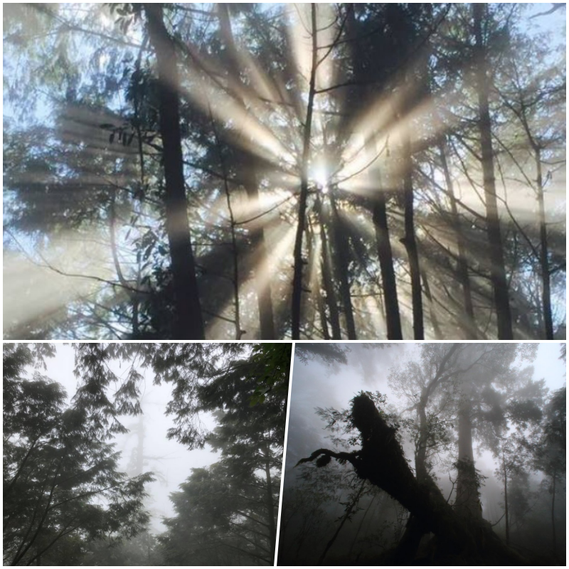 宜蘭力麗威斯汀２大２小含晚餐現省$3806！