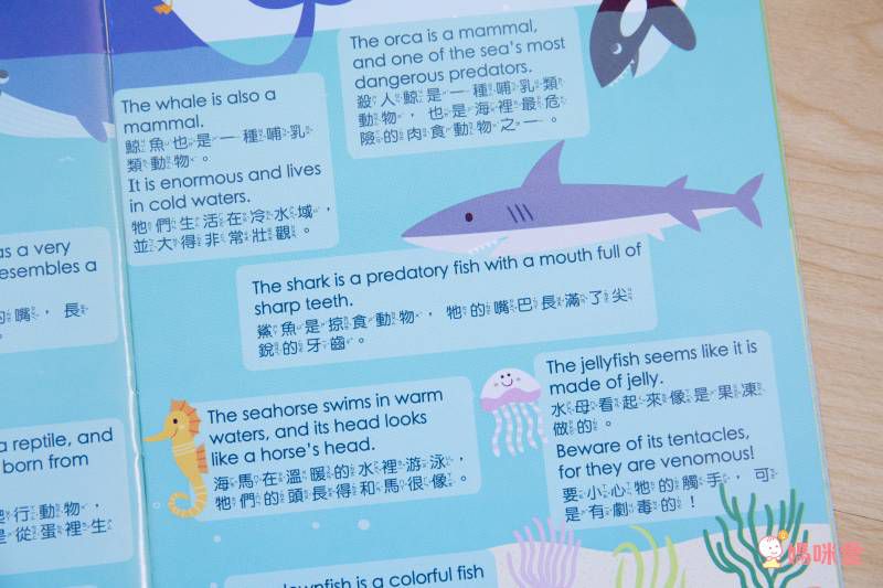 双美生活文創 - ABC點讀學習寶盒-波波狗點讀筆*1隻＋ABC認知圖典*1本＋圖鑑點讀書*1本＋ABC點讀掛圖*1張＋注音點讀卡*1張