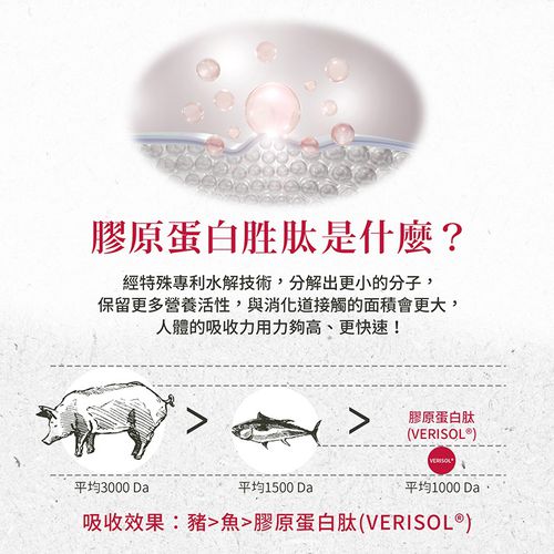 Sanct Bernhard 德國百年草本-膠原蛋白安瓶飲20ml (30入/盒)