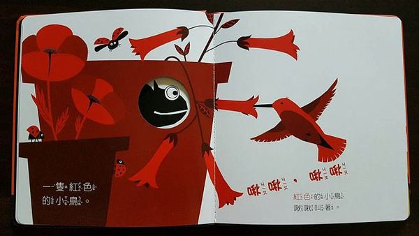 變色龍探索世界的顏色