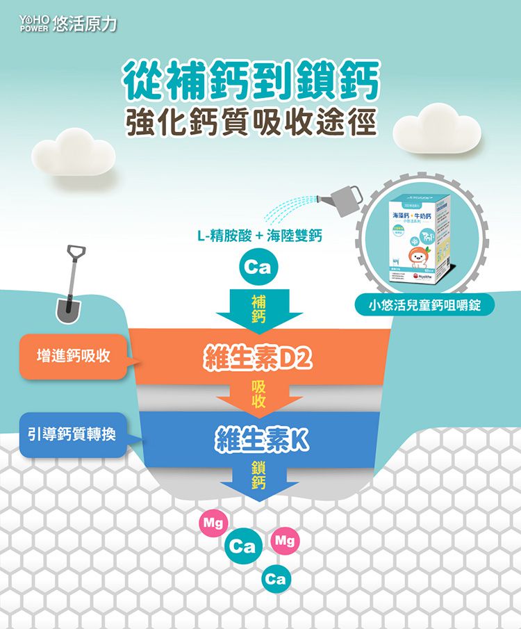 悠活原力 - YOYO敏立清益生菌-乳酸原味-60包/盒+小悠活兒童海藻鈣+牛奶鈣咀嚼錠-60錠/瓶(贈柳橙C軟糖2包)