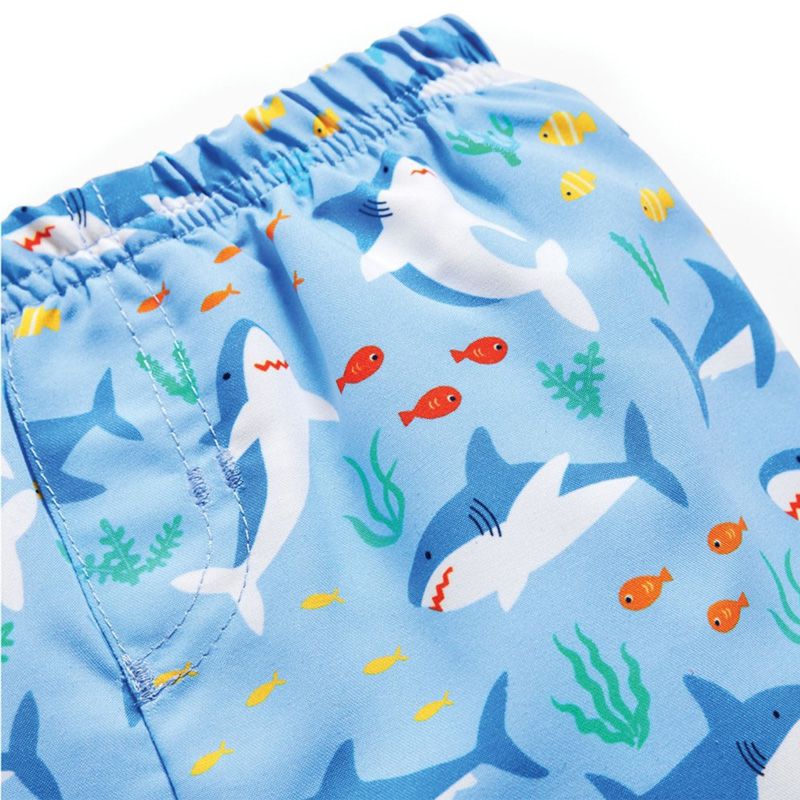 英國 JoJo Maman BeBe - 嬰幼兒/兒童尿布泳褲-鯊魚世界