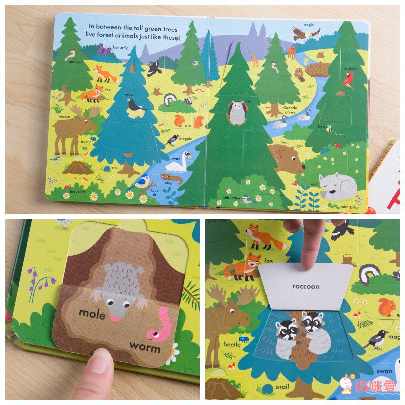 【最受歡迎的有聲英文書單】英文繪本10書＋10CD～大野狼熱銷缺貨款補貨到！