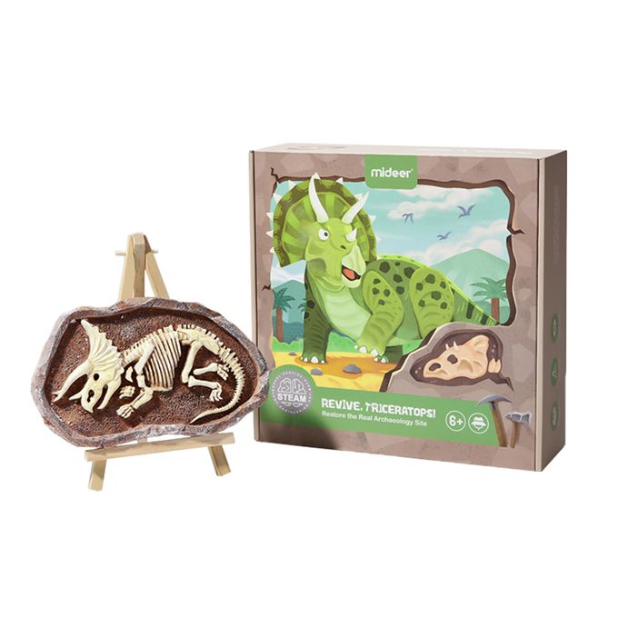 MiDeer - 考古挖掘套組-三角龍