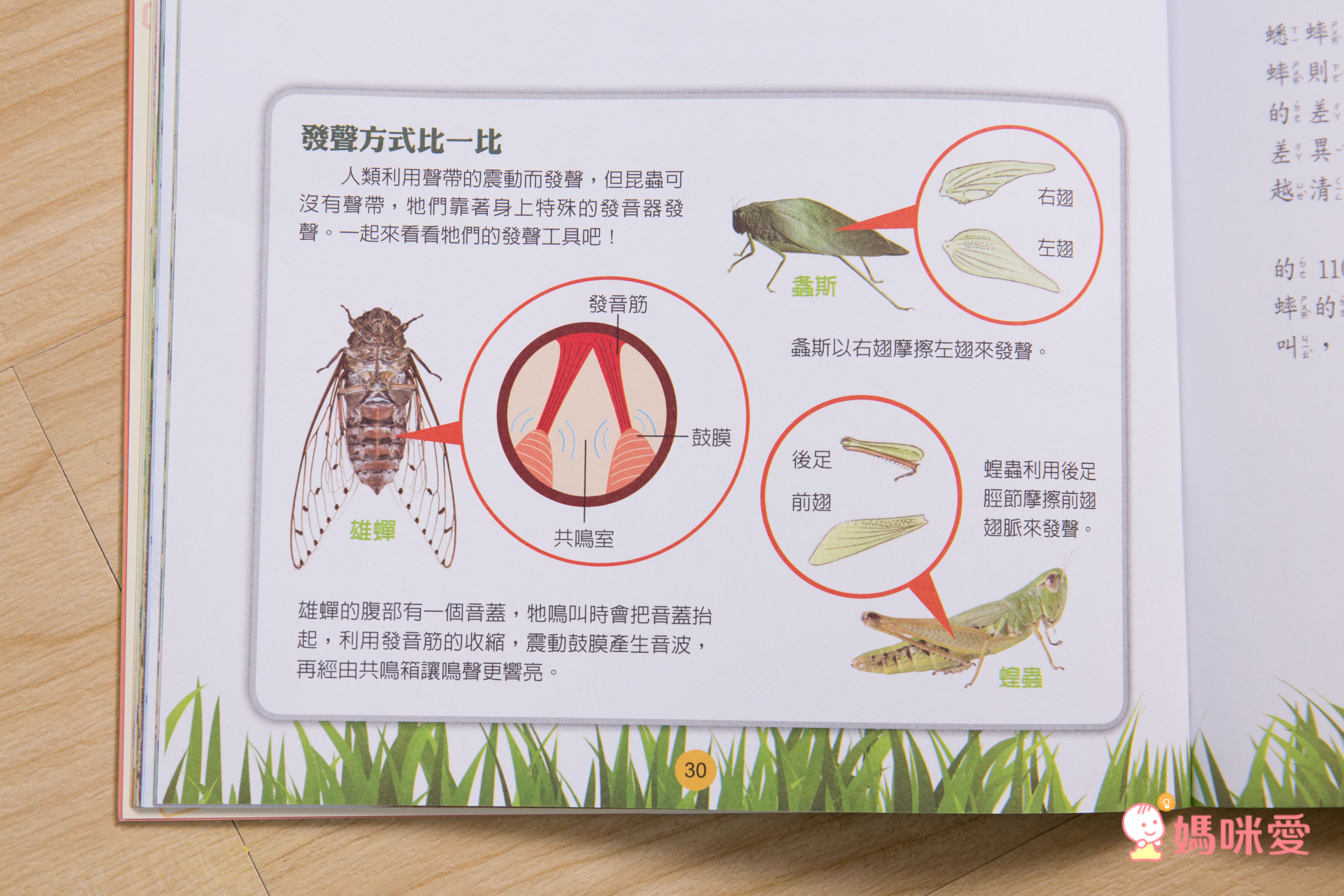 小牛頓【漫畫成語百科】語文＆科學一套搞定！看漫畫輕鬆學知識