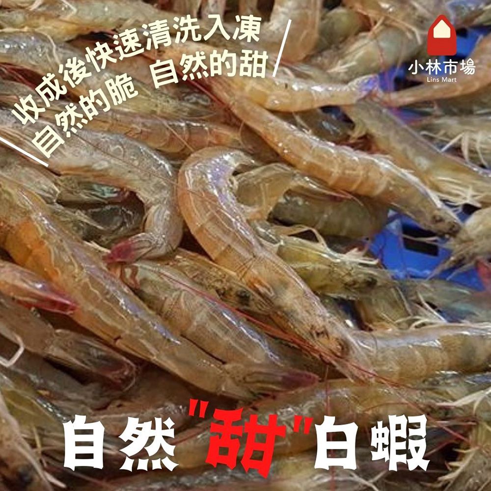 破1000好評推薦【小林市場】高品質海鮮、副食品魚片