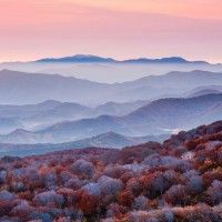 用戶頭像