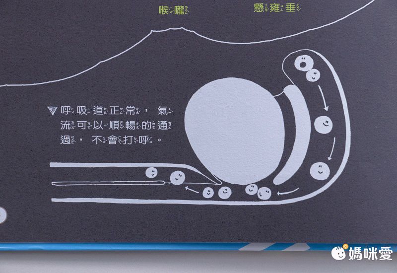 康軒文教事業 - 嘎嘎的光照書-2本一套