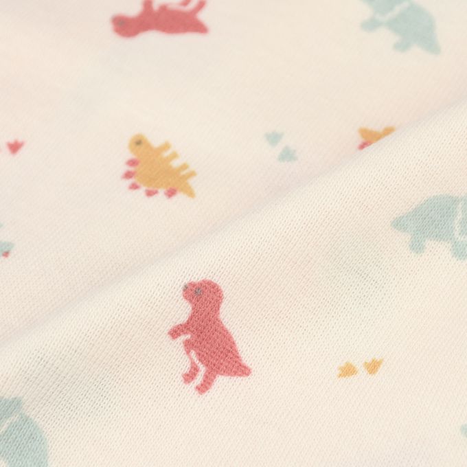 akachan honpo - 長袖新生兒內衣6件組-綁帶款 恐龍-綠色 (肚衣:50cm蝴蝶裝:50~60cm)