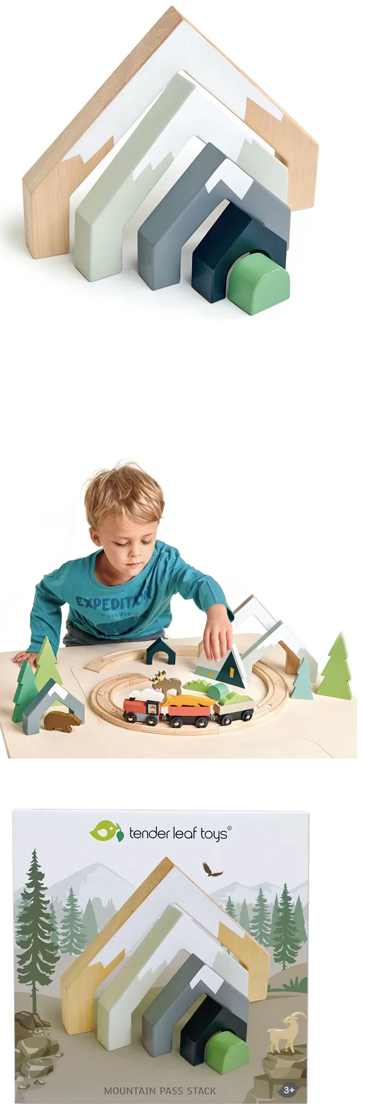 美國 Tender Leaf - 雪山隧道組