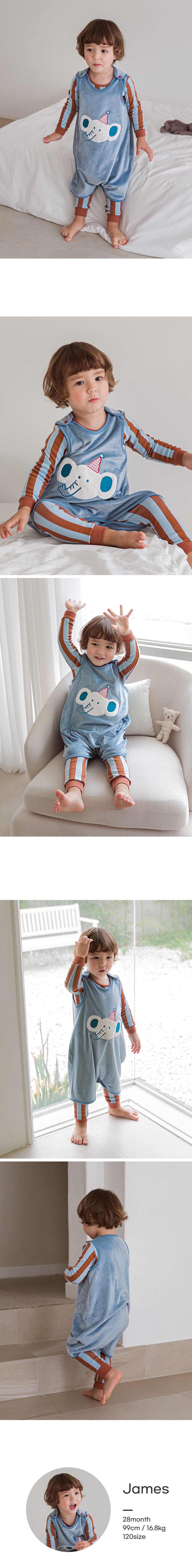 韓國 Cordi-i - 短絨毛保暖防踢被-藍色大象