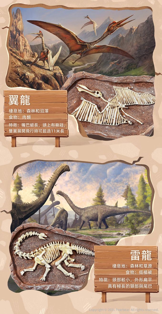 MiDeer - 考古挖掘套組-三角龍