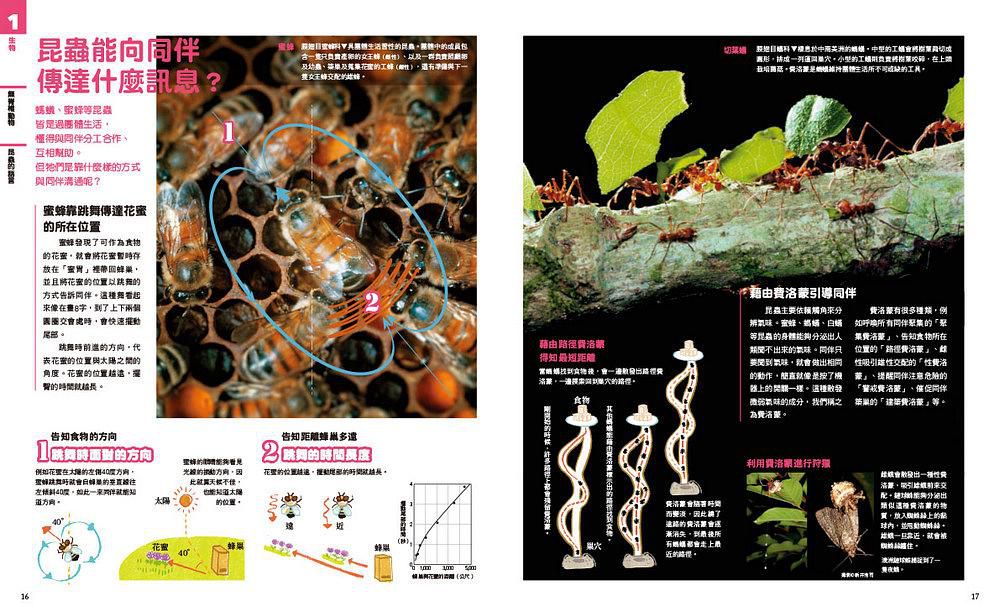 中小學生必讀科學常備用書（全套共四冊）: New全彩圖解觀念生物、地球科學、化學、物理-平裝