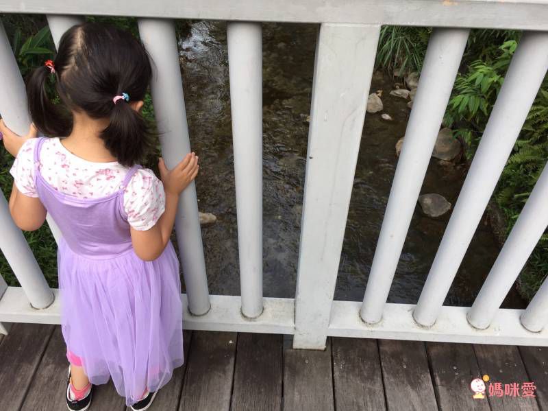 康軒文教事業 - 大冒險系列