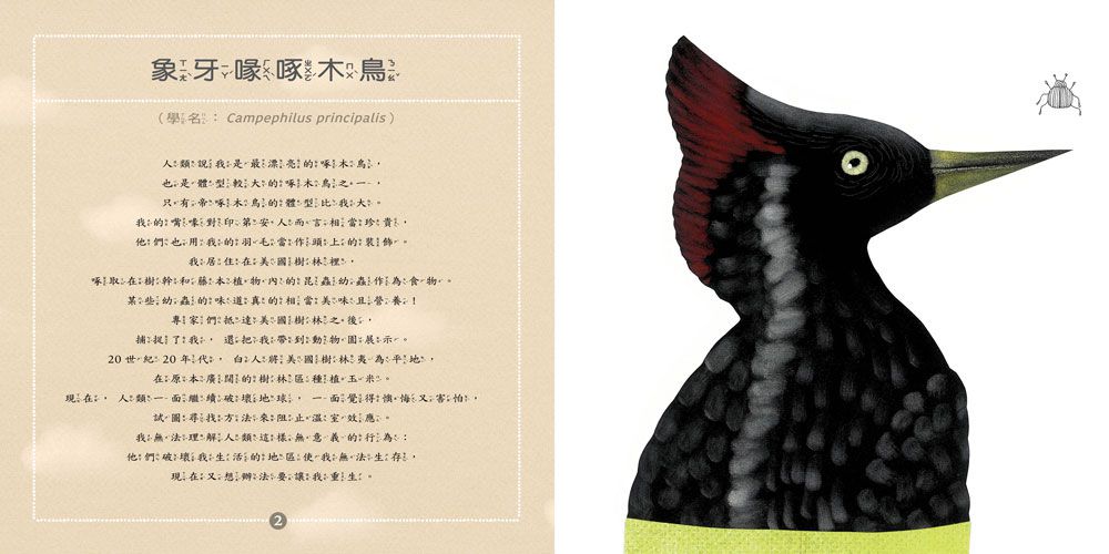 人類讓我們從地球上消失了